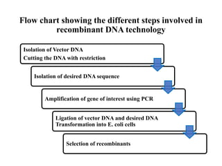 Recombinant DNA technology and Restriction endonuclease.pptx