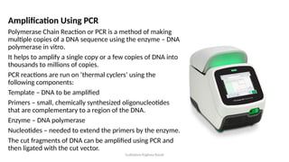Gudladona Raghava Ravali
Amplification Using PCR
Polymerase Chain Reaction or PCR is a method of making
multiple copies of a DNA sequence using the enzyme – DNA
polymerase in vitro.
It helps to amplify a single copy or a few copies of DNA into
thousands to millions of copies.
PCR reactions are run on ‘thermal cyclers’ using the
following components:
Template – DNA to be amplified
Primers – small, chemically synthesized oligonucleotides
that are complementary to a region of the DNA.
Enzyme – DNA polymerase
Nucleotides – needed to extend the primers by the enzyme.
The cut fragments of DNA can be amplified using PCR and
then ligated with the cut vector.
 