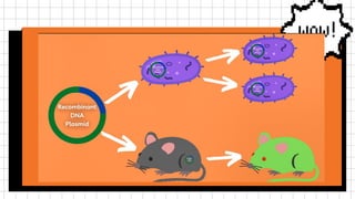 RECOMBINANT DNA TECHNOLOGY OR GENETIC ENGINEERING pptx | PPTX