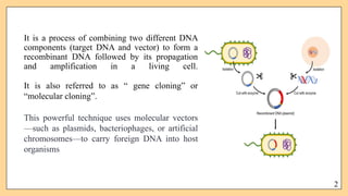 Dna Combining recombinant dna technology molecular biology.pptx