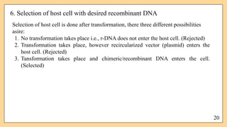 recombinant dna technology molecular biology.pptx