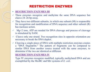System Restriction Recombinant DNA Technology- Different types of Restricted Endonucleases ...