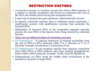 Recombinant DNA Technology- Different types of Restricted Endonucleases ...