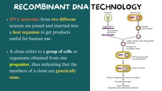 Recombinant DNA Technology- Application of genetic engineering in ...