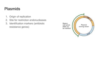 Recombinant DNA Technology- Part 1.pdf