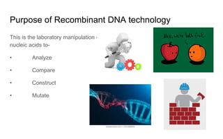 Recombinant DNA Technology- Part 1.pdf