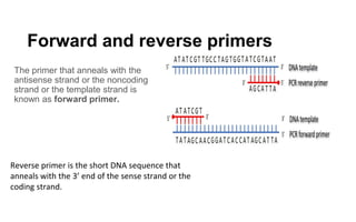 Recombinant DNA Technology- Part 1.pdf