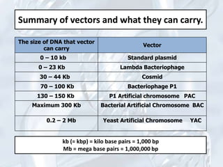 Pac Vector Structure Recombinant dna technology.pptx mona | PPTX