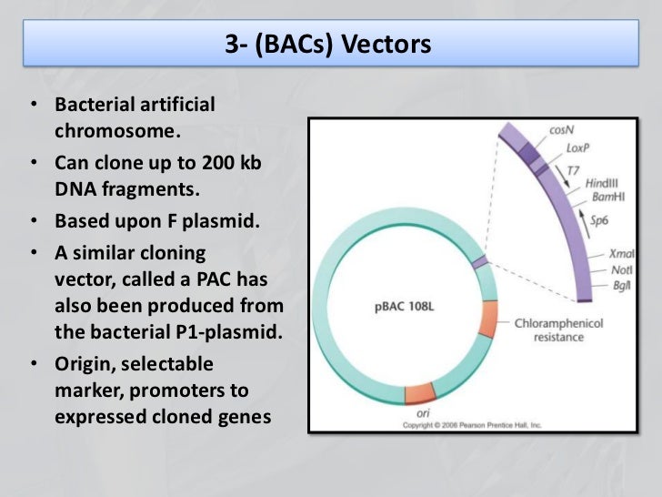 Recombinant dna technology.pptx mona