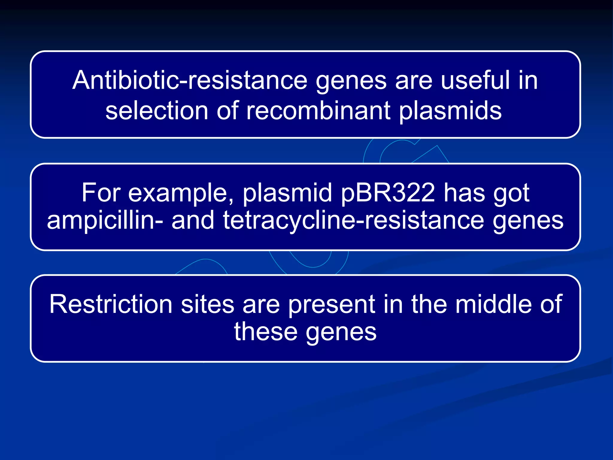 Recombinant dna technology tools and techniques | PPTX
