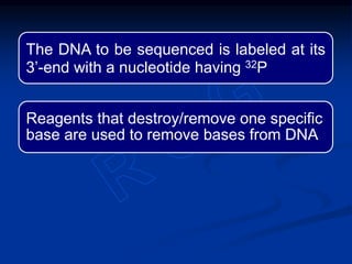 The DNA to be sequenced is labeled at its
3’-end with a nucleotide having 32P
Reagents that destroy/remove one specific
base are used to remove bases from DNA
 