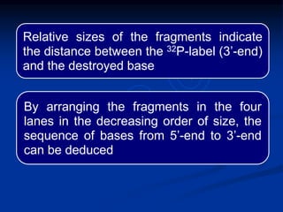 Relative sizes of the fragments indicate
the distance between the 32P-label (3’-end)
and the destroyed base
By arranging the fragments in the four
lanes in the decreasing order of size, the
sequence of bases from 5’-end to 3’-end
can be deduced
 