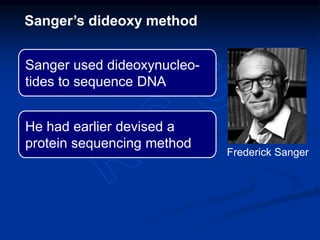 Sanger used dideoxynucleo-
tides to sequence DNA
He had earlier devised a
protein sequencing method
Sanger’s dideoxy method
Frederick Sanger
 