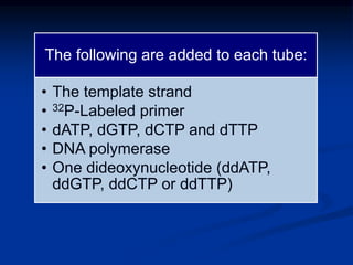 The following are added to each tube:
• The template strand
• 32P-Labeled primer
• dATP, dGTP, dCTP and dTTP
• DNA polymerase
• One dideoxynucleotide (ddATP,
ddGTP, ddCTP or ddTTP)
 