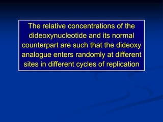 The relative concentrations of the
dideoxynucleotide and its normal
counterpart are such that the dideoxy
analogue enters randomly at different
sites in different cycles of replication
 
