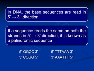 In DNA, the base sequences are read in
5’ → 3’ direction
If a sequence reads the same on both the
strands in 5’ → 3’ direction, it is known as
a palindromic sequence
5’ GGCC 3’ 5’ TTTAAA 3’
3’ CCGG 5’ 3’ AAATTT 5’
 