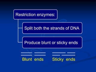Restriction enzymes:
Split both the strands of DNA
Produce blunt or sticky ends
Blunt ends Sticky ends
 