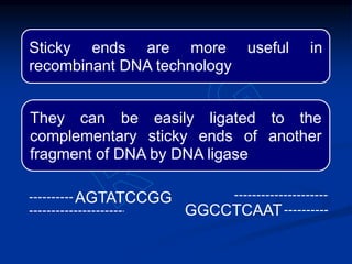 Sticky ends are more useful in
recombinant DNA technology
They can be easily ligated to the
complementary sticky ends of another
fragment of DNA by DNA ligase
GGCCTCAAT
AGTATCCGG
 