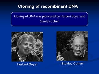 Herbert Boyer Stanley Cohen
Cloning of recombinant DNA
Cloningof DNA was pioneered by Herbert Boyer and
StanleyCohen
 