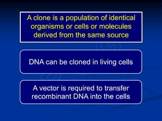 DNA can be cloned in living cells
A vector is required to transfer
recombinant DNA into the cells
A clone is a population of identical
organisms or cells or molecules
derived from the same source
 