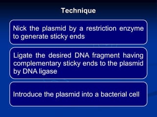 Nick the plasmid by a restriction enzyme
to generate sticky ends
Ligate the desired DNA fragment having
complementary sticky ends to the plasmid
by DNA ligase
Introduce the plasmid into a bacterial cell
Technique
 