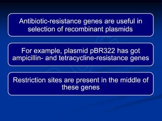 Antibiotic-resistance genes are useful in
selection of recombinant plasmids
For example, plasmid pBR322 has got
ampicillin- and tetracycline-resistance genes
Restriction sites are present in the middle of
these genes
 