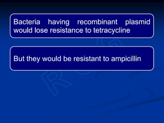 Bacteria having recombinant plasmid
would lose resistance to tetracycline
But they would be resistant to ampicillin
 