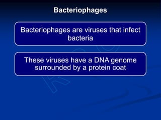 Bacteriophages are viruses that infect
bacteria
These viruses have a DNA genome
surrounded by a protein coat
Bacteriophages
 