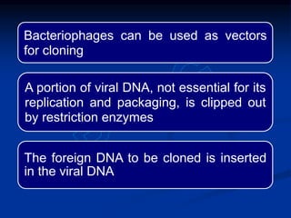 Bacteriophages can be used as vectors
for cloning
A portion of viral DNA, not essential for its
replication and packaging, is clipped out
by restriction enzymes
The foreign DNA to be cloned is inserted
in the viral DNA
 