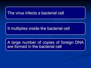 The virus infects a bacterial cell
It multiplies inside the bacterial cell
A large number of copies of foreign DNA
are formed in the bacterial cell
 