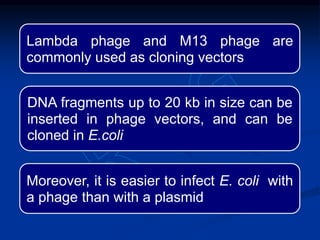 Lambda phage and M13 phage are
commonly used as cloning vectors
DNA fragments up to 20 kb in size can be
inserted in phage vectors, and can be
cloned in E.coli
Moreover, it is easier to infect E. coli with
a phage than with a plasmid
 