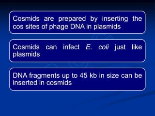 Cosmids are prepared by inserting the
cos sites of phage DNA in plasmids
Cosmids can infect E. coli just like
plasmids
DNA fragments up to 45 kb in size can be
inserted in cosmids
 