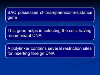 BAC possesses chloramphenicol-resistance
gene
This gene helps in selecting the cells having
recombinant DNA
A polylinker contains several restriction sites
for inserting foreign DNA
 