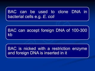 BAC can be used to clone DNA in
bacterial cells e.g. E. coli
BAC can accept foreign DNA of 100-300
kb
BAC is nicked with a restriction enzyme
and foreign DNA is inserted in it
 