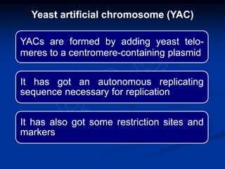 YACs are formed by adding yeast telo-
meres to a centromere-containing plasmid
It has got an autonomous replicating
sequence necessary for replication
It has also got some restriction sites and
markers
Yeast artificial chromosome (YAC)
 