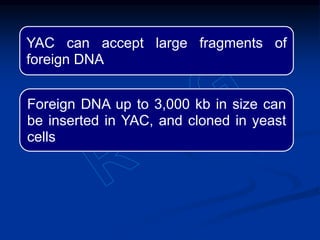 YAC can accept large fragments of
foreign DNA
Foreign DNA up to 3,000 kb in size can
be inserted in YAC, and cloned in yeast
cells
 