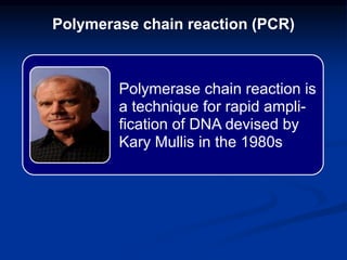 Polymerase chain reaction (PCR)
Polymerase chain reaction is
a technique for rapid ampli-
fication of DNA devised by
Kary Mullis in the 1980s
 