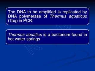 The DNA to be amplified is replicated by
DNA polymerase of Thermus aquaticus
(Taq) in PCR
Thermus aquatics is a bacterium found in
hot water springs
 