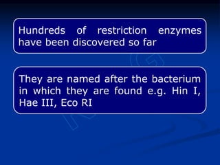 Hundreds of restriction enzymes
have been discovered so far
They are named after the bacterium
in which they are found e.g. Hin I,
Hae III, Eco RI
 