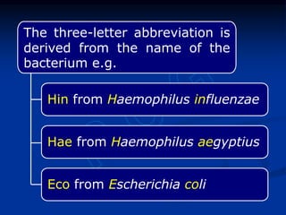 The three-letter abbreviation is
derived from the name of the
bacterium e.g.
Hin from Haemophilus influenzae
Hae from Haemophilus aegyptius
Eco from Escherichia coli
 