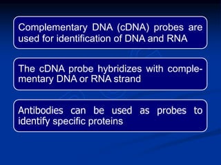 Complementary DNA (cDNA) probes are
used for identification of DNA and RNA
The cDNA probe hybridizes with comple-
mentary DNA or RNA strand
Antibodies can be used as probes to
identify specific proteins
 