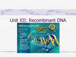 Unit XII: Recombinant DNA
Technology
 