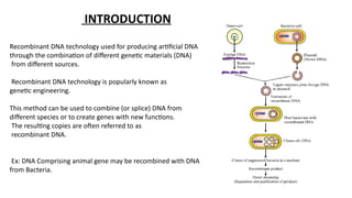 Recombinant DNA Technology, Method and Roll of Restriction Enzyme.pptx