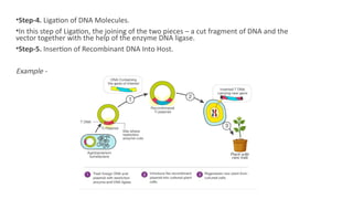 Recombinant DNA Technology, Method and Roll of Restriction Enzyme.pptx