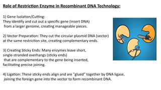 Recombinant DNA Technology, Method and Roll of Restriction Enzyme.pptx