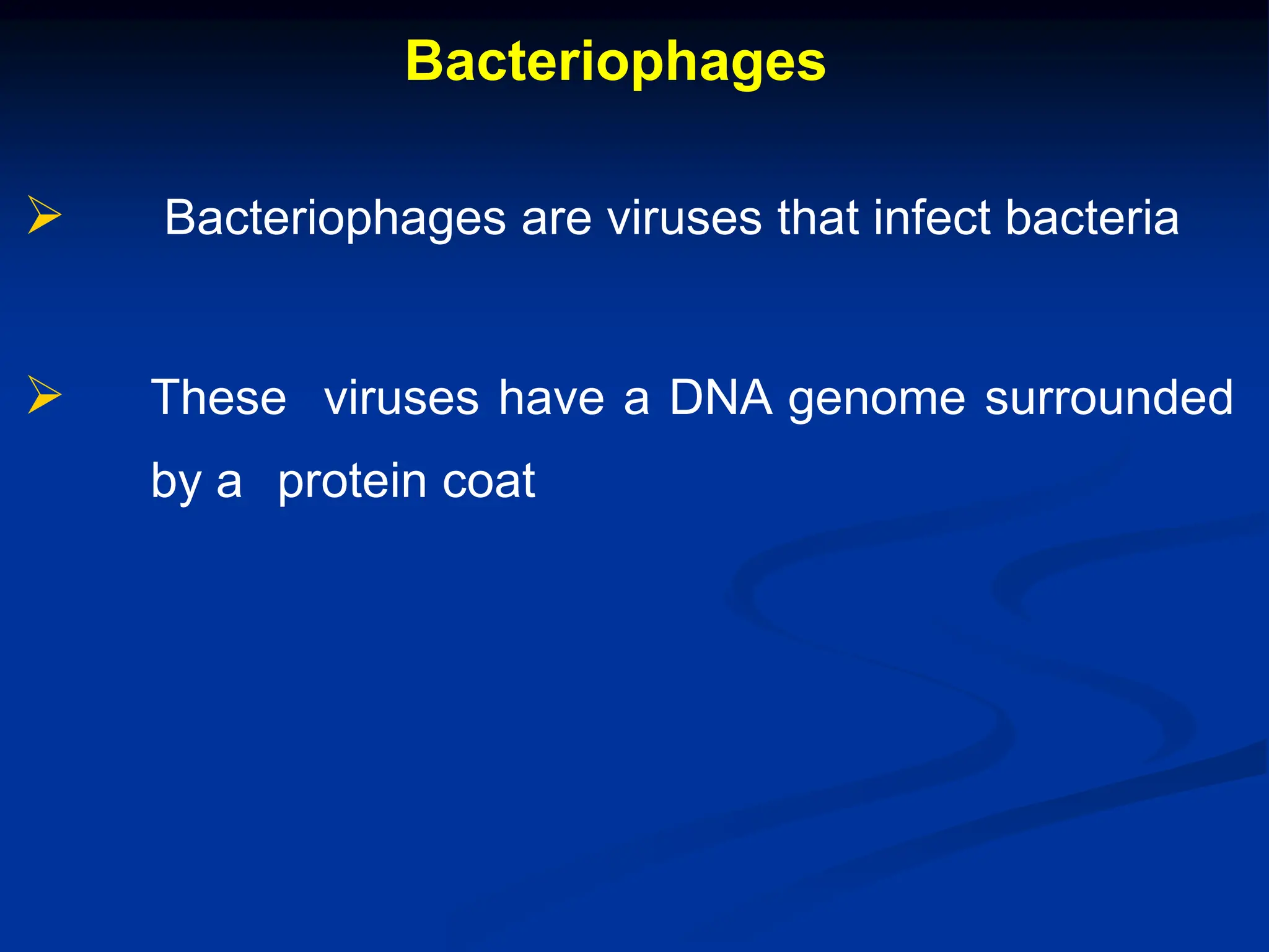 Bacteriophages
 Bacteriophages are viruses that infect bacteria
 These viruses have a DNA genome surrounded
by a protein coat
 