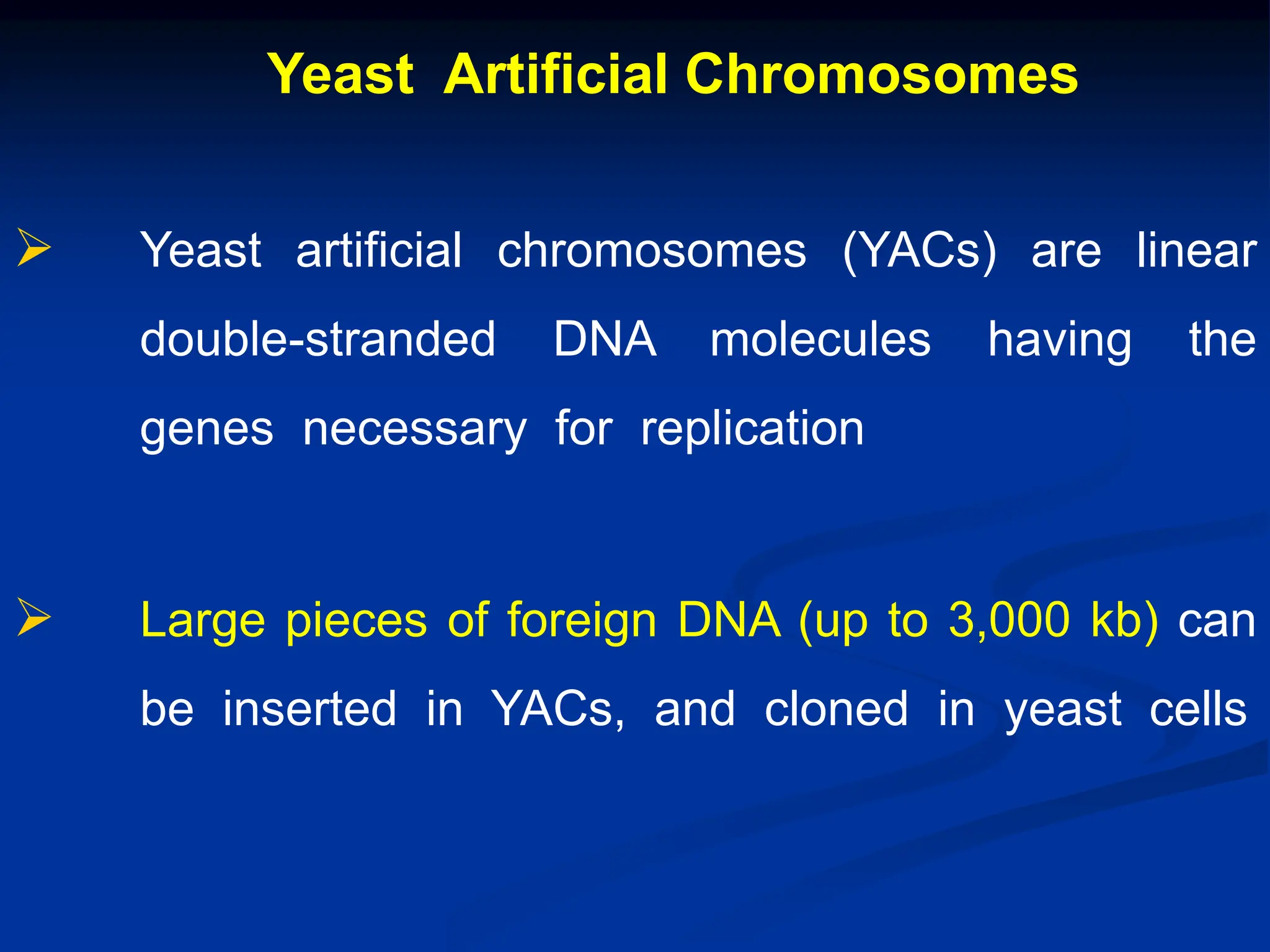 Yeast Artificial Chromosomes
 Yeast artificial chromosomes (YACs) are linear
double-stranded DNA molecules having the
genes necessary for replication
 Large pieces of foreign DNA (up to 3,000 kb) can
be inserted in YACs, and cloned in yeast cells
 