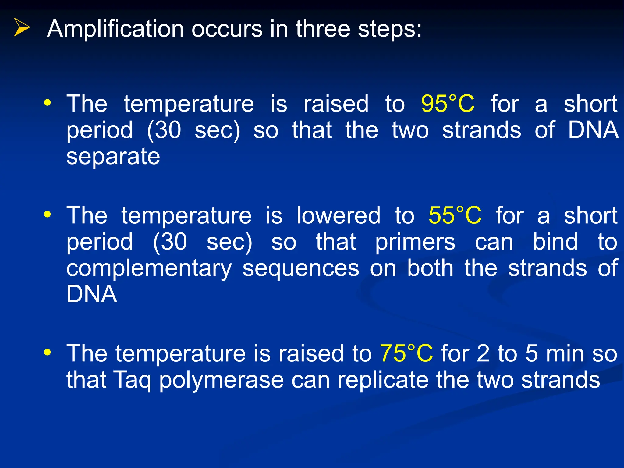  Amplification occurs in three steps:
• The temperature is raised to 95°C for a short
period (30 sec) so that the two strands of DNA
separate
• The temperature is lowered to 55°C for a short
period (30 sec) so that primers can bind to
complementary sequences on both the strands of
DNA
• The temperature is raised to 75°C for 2 to 5 min so
that Taq polymerase can replicate the two strands
 
