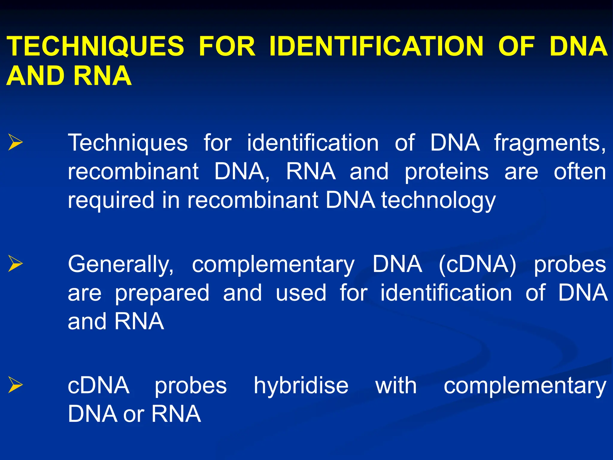 TECHNIQUES FOR IDENTIFICATION OF DNA
AND RNA
 Techniques for identification of DNA fragments,
recombinant DNA, RNA and proteins are often
required in recombinant DNA technology
 Generally, complementary DNA (cDNA) probes
are prepared and used for identification of DNA
and RNA
 cDNA probes hybridise with complementary
DNA or RNA
 