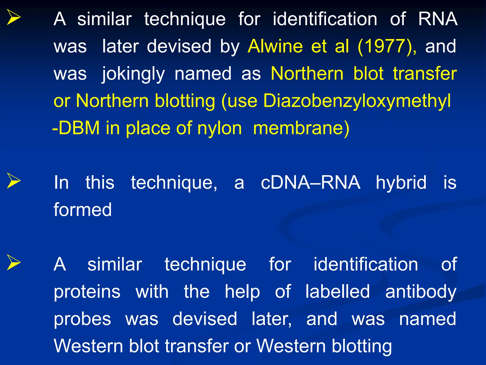  A similar technique for identification of RNA
was later devised by Alwine et al (1977), and
was jokingly named as Northern blot transfer
or Northern blotting (use Diazobenzyloxymethyl
-DBM in place of nylon membrane)
 In this technique, a cDNA–RNA hybrid is
formed
 A similar technique for identification of
proteins with the help of labelled antibody
probes was devised later, and was named
Western blot transfer or Western blotting
 